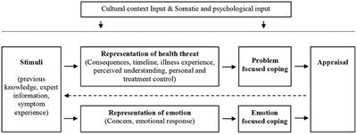 Illness Perceptions of COVID-19 in Europe: Predictors, Impacts and Temporal Evolution